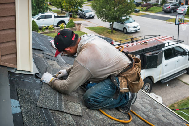 Professional Gutter Repair And Installation technician working in Oyens, IA